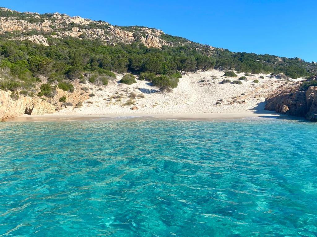 Casa Mughetto R5055 Seafront, Private Sea Access, Swimming Pool Vila La Maddalena  Exterior foto