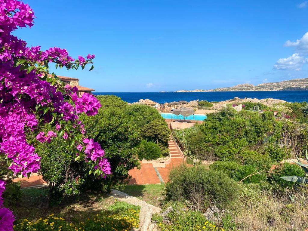 Casa Mughetto R5055 Seafront, Private Sea Access, Swimming Pool Vila La Maddalena  Exterior foto
