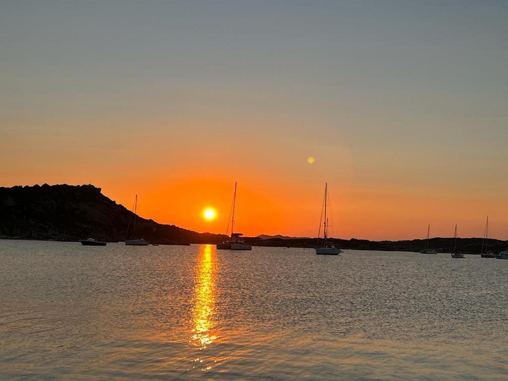 Casa Mughetto R5055 Seafront, Private Sea Access, Swimming Pool Vila La Maddalena  Exterior foto