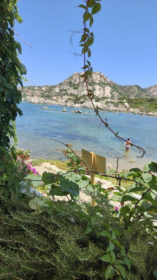 Casa Mughetto R5055 Seafront, Private Sea Access, Swimming Pool Vila La Maddalena  Exterior foto