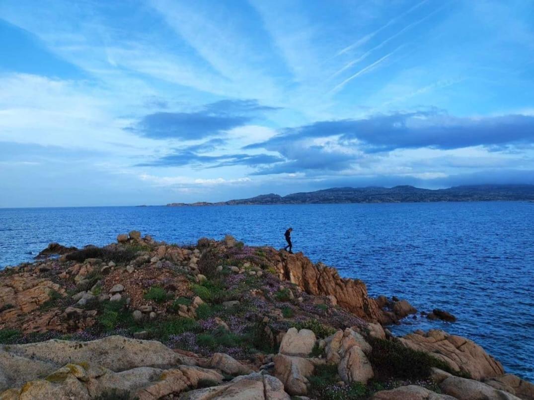 Casa Mughetto R5055 Seafront, Private Sea Access, Swimming Pool Vila La Maddalena  Exterior foto